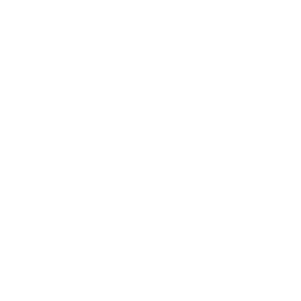 どんど焼き神事のご案内