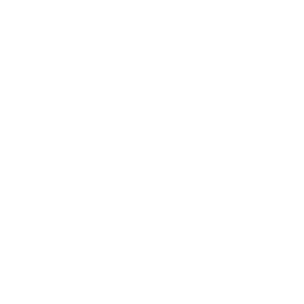 戌の日 安産祈願